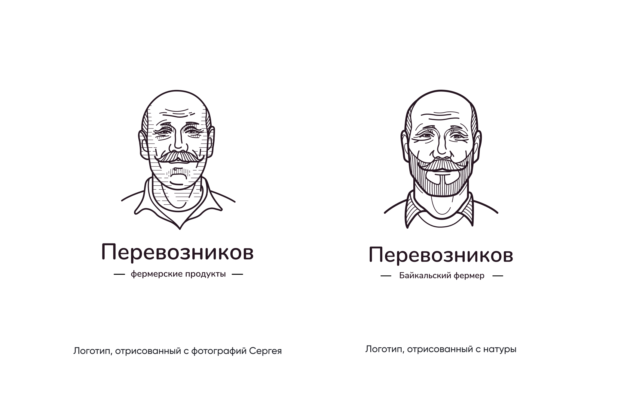 Финальный логотип Перевозников